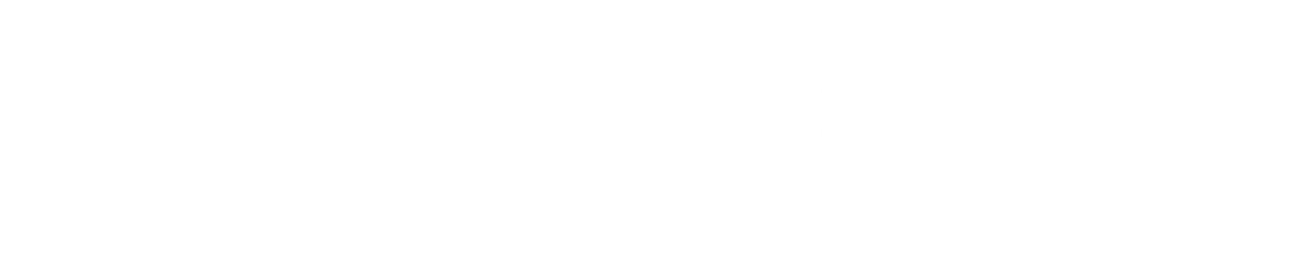 Saint-Vincent-de-Paul Nice